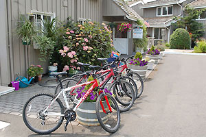 Bike rental